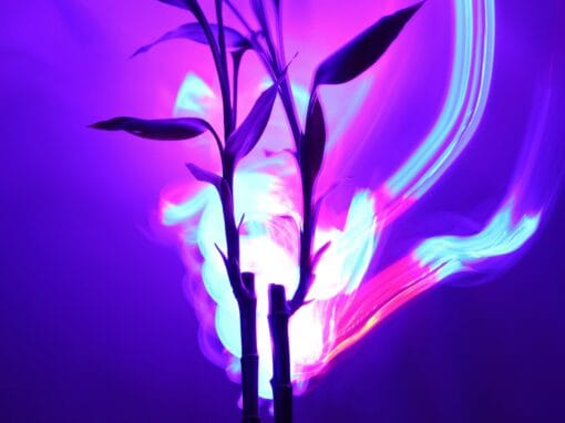 Affordable Full Spectrum LED Grow Lights for Indoor Plants Affordable Full Spectrum LED Grow Lights for Indoor Plants